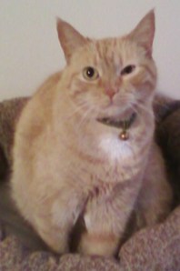 Gatsby: What are you looking at?