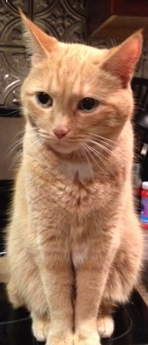 "Wait, what? What have you people done?!?" 