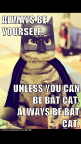 batcat