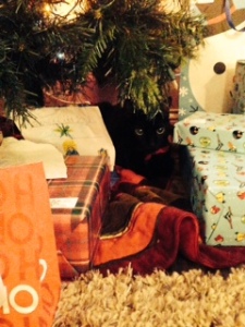 Yoshi hiding in the Christmas presents