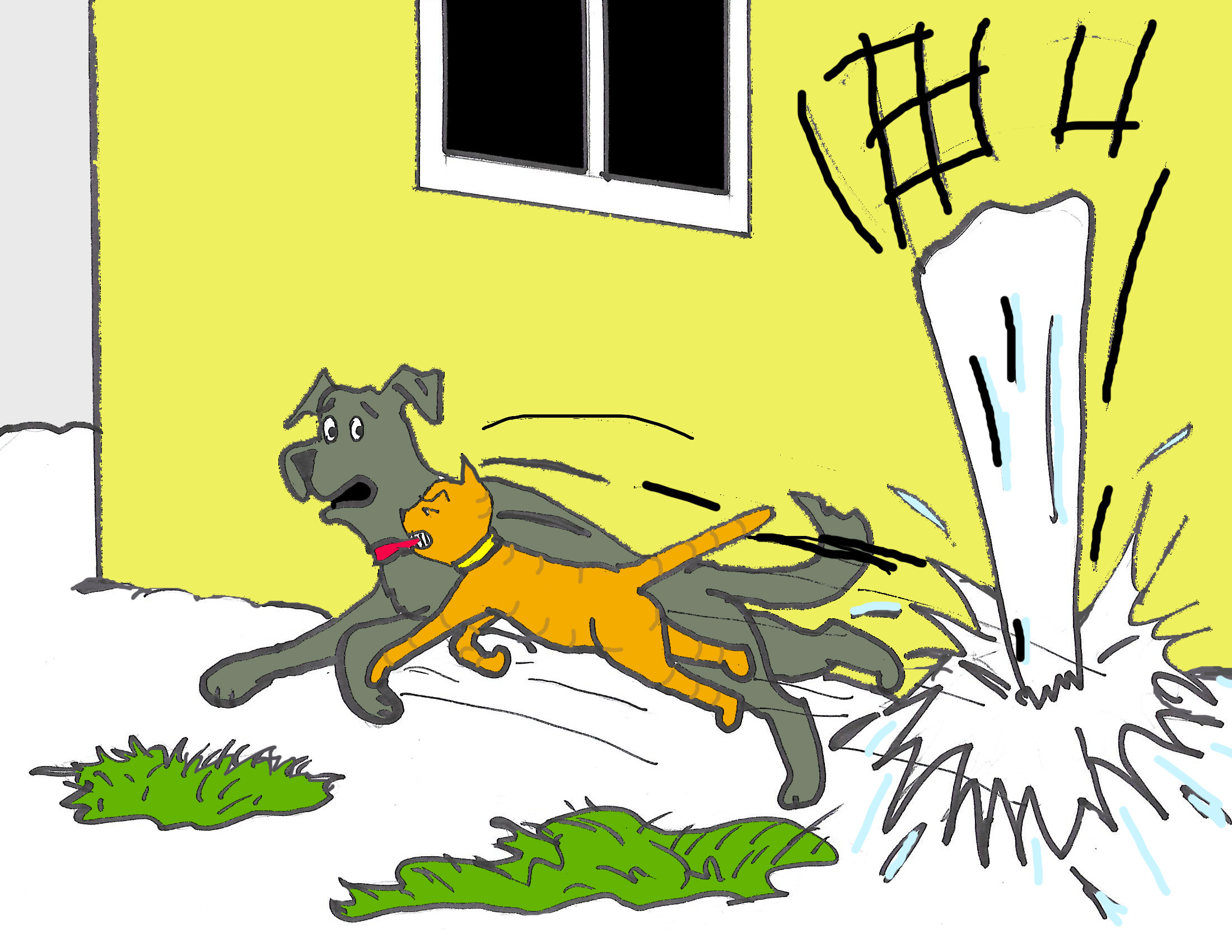 PCP Illustration Ch 5